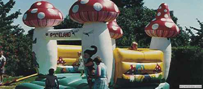 sprungburg_800x350.jpg